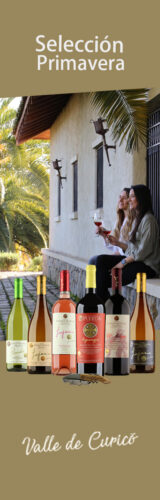 Selección Primavera